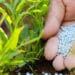 Fertilizer Application