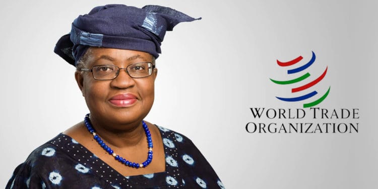 WTO’s new Virtual Course on Trade and Public Health focuses on COVID-19