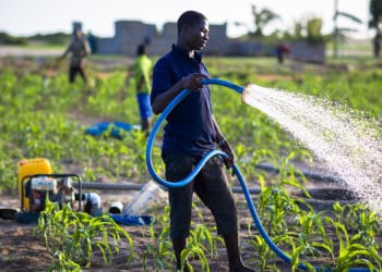 Agricultural Transformation in Ghana: An insight into the NPP and NDC past performance, future perspective, and policy options. 1 Agricultural Transformation in Ghana: An insight into the NPP and NDC past performance, future perspective, and policy options.