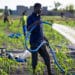 Agricultural Transformation in Ghana: An insight into the NPP and NDC past performance, future perspective, and policy options.