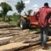 Illegal logging