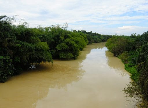 Polluted Ankobrah river