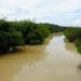 Polluted Ankobrah river