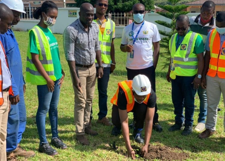 ECG commits to planting 6000 trees in support of Green Ghana project