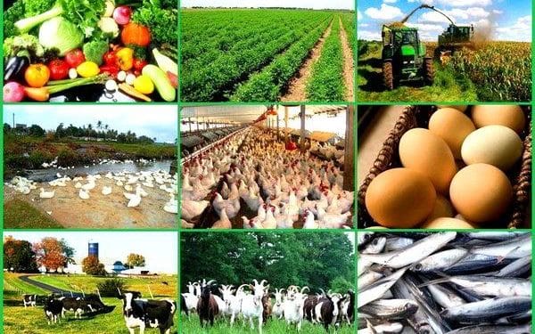 About 78,412 agribusiness workers laid off post-lockdown 1 About 78,412 agribusiness workers laid off post-lockdown