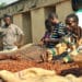 Top Cocoa Producers Push for Premium for Farmers 11 Top Cocoa Producers Push for Premium for Farmers