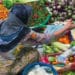 Global food trade remains buoyant - FAO