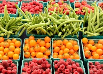 Global food prices record fastest monthly rise in May