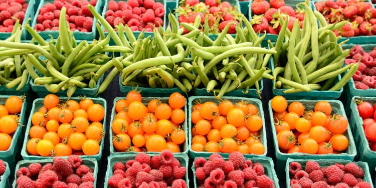 Global food prices record fastest monthly rise in May