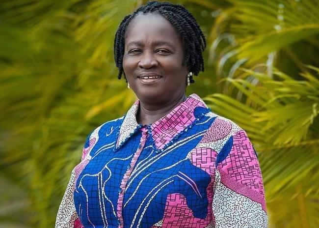 Prof Jane Naana Opoku Agyemang 1