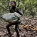 Child labour in agriculture on the rise, FAO warns 11 Child labour in agriculture on the rise, FAO warns