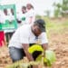 Green Ghana Project commences today