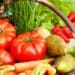 Africans face highest food costs in the world