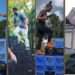 TikTok has banned the popular #Milkcratechallenge from its platform due to concerns that users participating in the trend could be seriously injured.