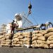 Gov’t revenues to improve as cocoa production reaches all-time high 13 Gov’t revenues to improve as cocoa production reaches all-time high