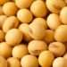 Trade minister expresses worry about rising Soya Bean exports