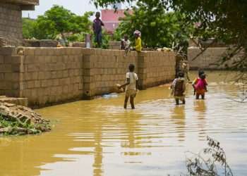 Over 50 Dead As Swollen Blue Nile Wreaks Havoc in Sudan