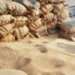 Global food prices decline in July