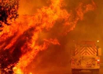 President Declares 3 Days National Mourning as Dozens of Soldiers and Civilians Die in Raging Wildfires 1 President Declares 3 Days National Mourning as Dozens of Soldiers and Civilians Die in Raging Wildfires