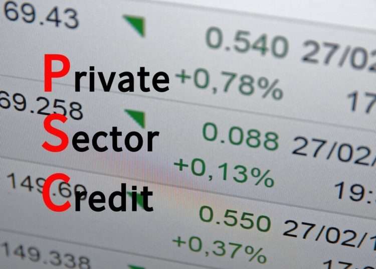 Private Sector Credit declines as banks’ holdings of government debt rises 1 shutterstock 397079671