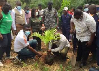 Asenema Falls gets boost by GTA