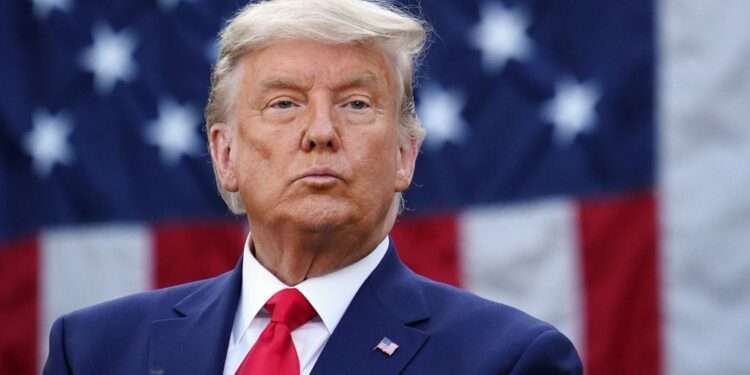 Trump sues niece, New York Times for $100m over Pulitzer-winning tax story