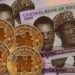 Handling market Interruptions as e-Naira Set to Kick-off in Nigeria 11 Handling market Interruptions as e-Naira Set to Kick-off in Nigeria