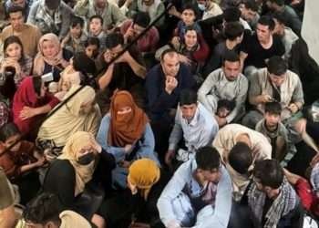 South Africa "unable" to receive Afghan refugees 10 South Africa "unable" to receive Afghan refugees