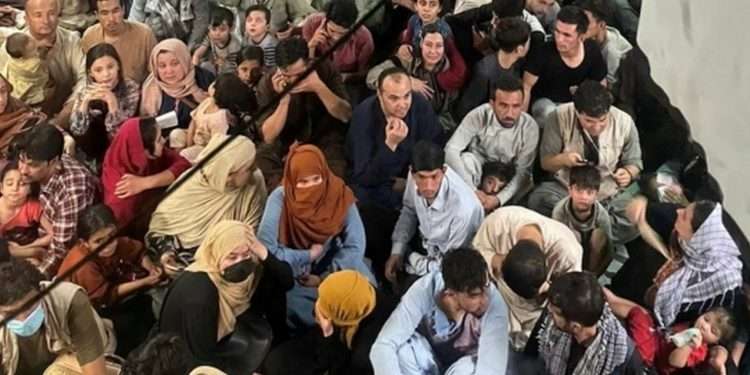South Africa "unable" to receive Afghan refugees
