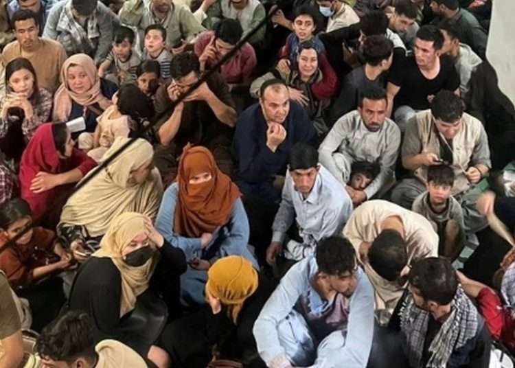 South Africa "unable" to receive Afghan refugees 1 South Africa "unable" to receive Afghan refugees