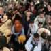 South Africa "unable" to receive Afghan refugees 14 South Africa "unable" to receive Afghan refugees