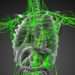 Evidence Confirms Some People Develop 'Superhuman Immunity' to COVID-19 and Future Pandemics 12 Evidence Confirms Some People Develop 'Superhuman Immunity' to COVID-19 and Future Pandemics