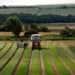 UK: Food firms warn of panic-buying in the coming Christmas 14 UK