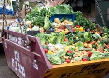 $400 Billion Worth of Food end in Loss and Waste- Qu Dongyu 6 food waste