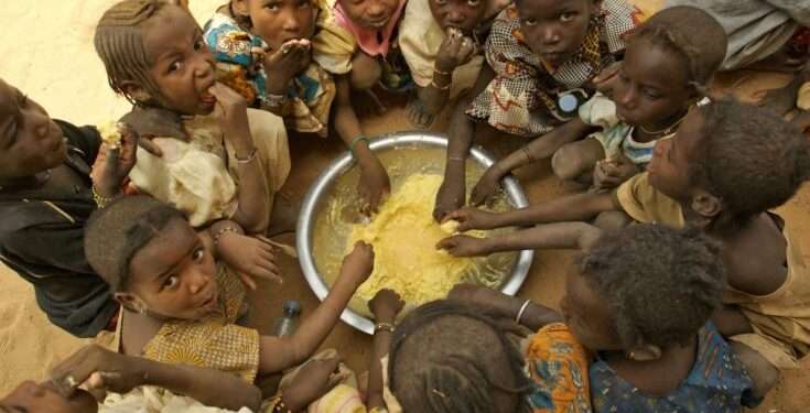 Ghana to Experience Severe Food Shortage and Hunger in 4th Quarter- NDDI predicts