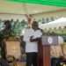 President Akufo-Addo has disclosed that policies and programmes initiated by his government since his inauguration in 2017 are bearing “fruit” and largely impacting on the lives of all Ghanaians.