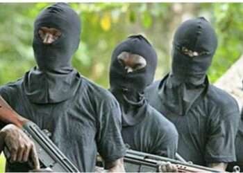 Nigeria: Gunmen kill Traditional Leaders in Imo State