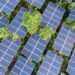 US: Renewable Energy Production Hit Record-High in 2021 12 energy