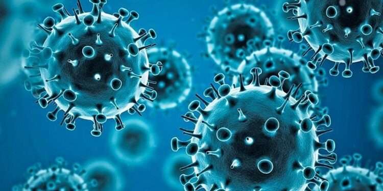 COVID-19 virus under microscope