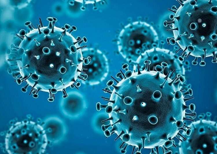 Study Concludes COVID-19 Poses Bigger Risk of Brain Conditions than Vaccines 1 COVID-19 virus under microscope