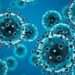 COVID-19 virus under microscope