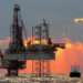 oil