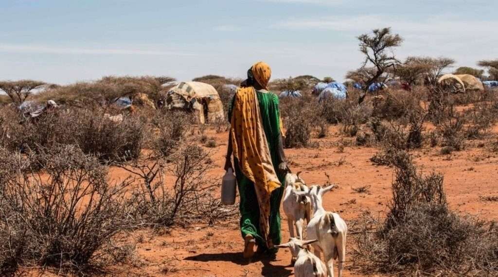 Worsening Drought & Conflict Pose Risk of Extreme Hunger in the Horn of Africa, Warns IRC