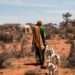Worsening Drought & Conflict Pose Risk of Extreme Hunger in the Horn of Africa, Warns IRC 11 Worsening Drought & Conflict Pose Risk of Extreme Hunger in the Horn of Africa, Warns IRC