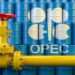 OPEC cuts global oil demand forecast for Q4 2021 11 OPEC