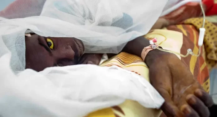 A yellow fever patient