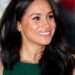 Samantha Meghan Markle crowned ‘the most intelligent British royal’ in new study