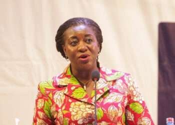 The flagbearer of the Progressive People’s Party (PPP) in the 2020 Election, Brigitte Dzogbenuku