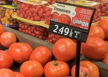 Global Food Prices Surge For The Fourth Consecutive Month In November 1 Global Food Prices Surge For The Fourth Consecutive Month In November