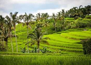 ADB throws National Best Farmers party 7 A farm in the Central region